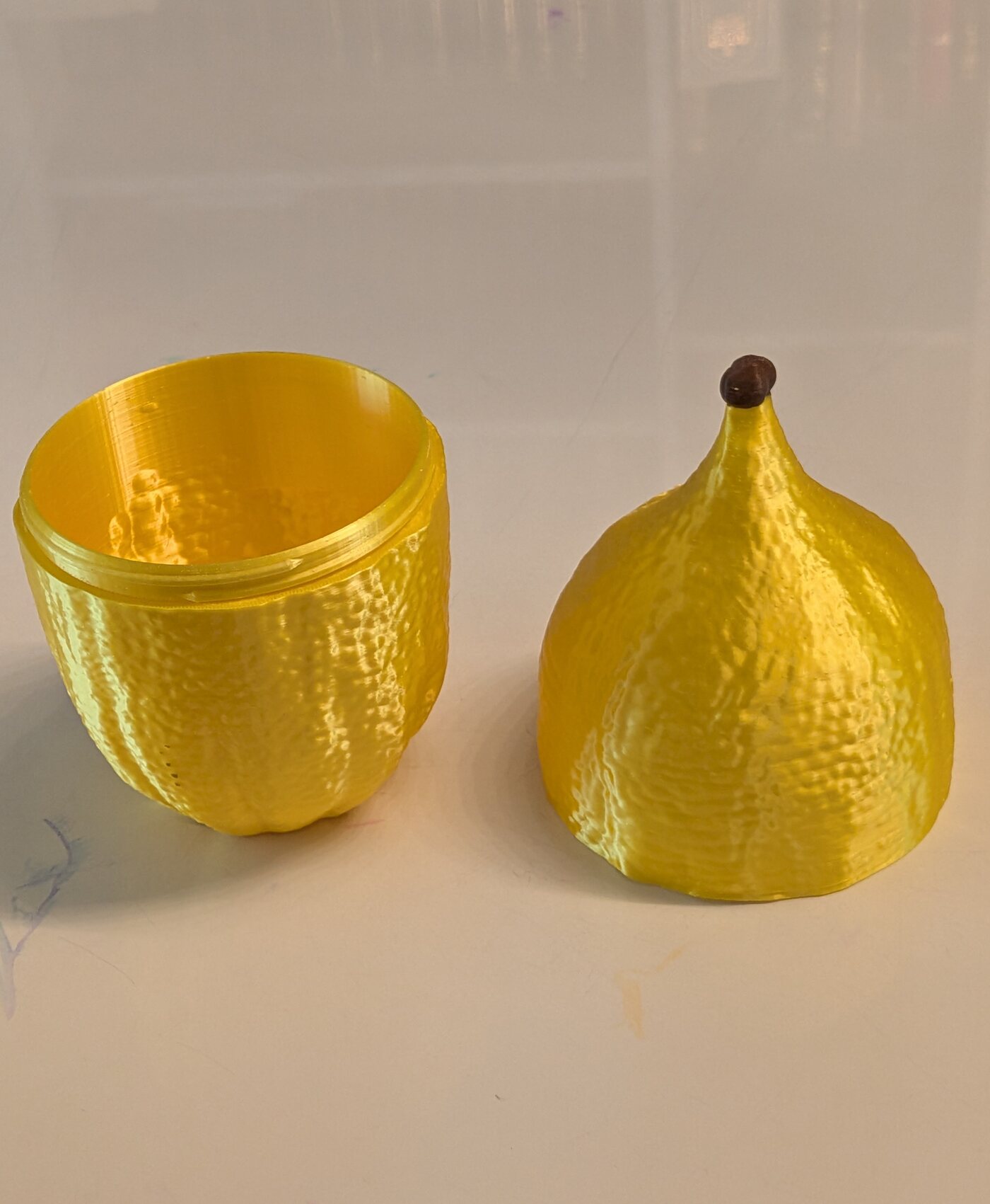 The same case twisted open into two halves, showing the hollow interior.