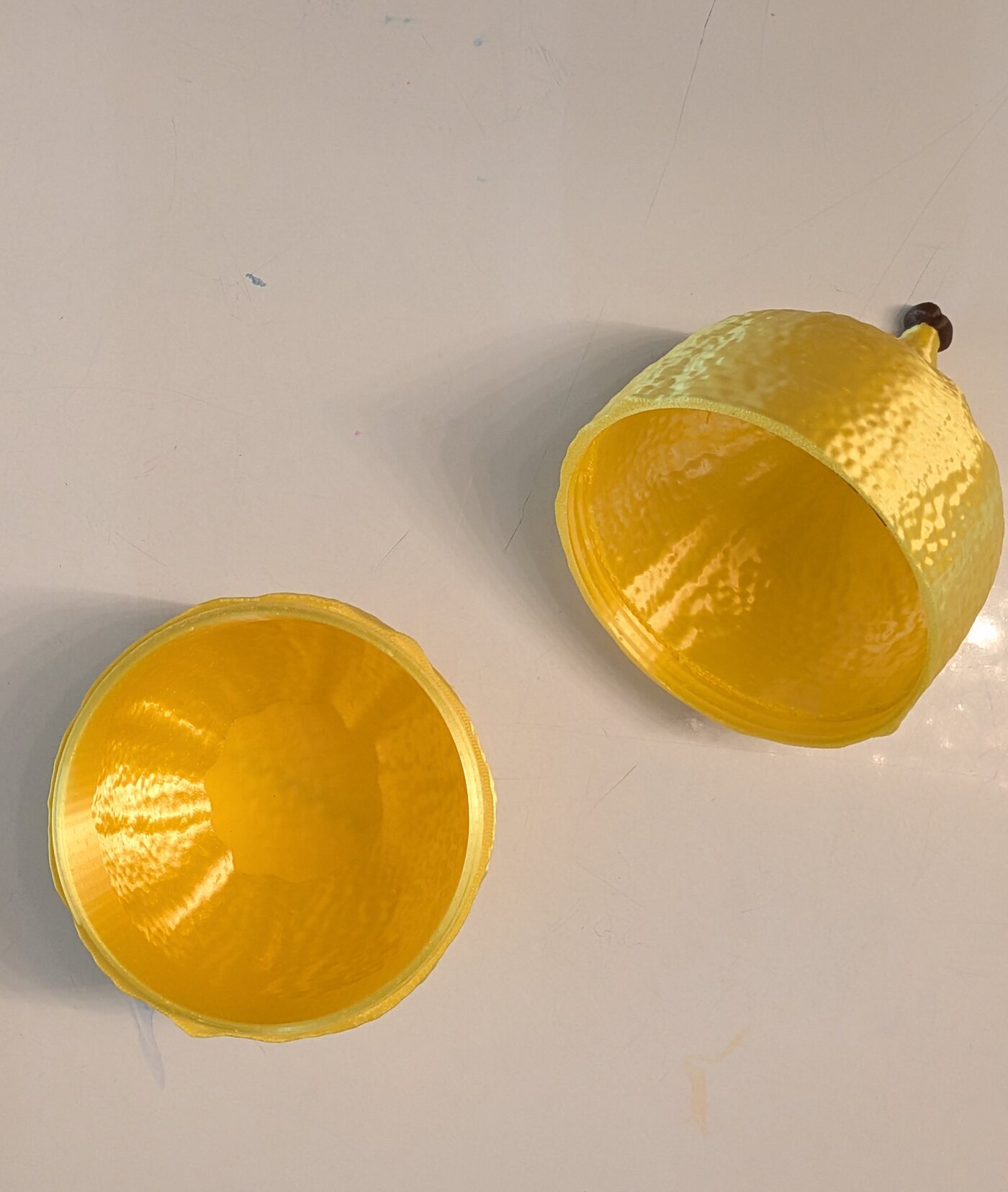 Both halves of the esrog case, open, showing the smooth printed interior.